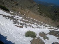 Wir bestaunten nochmal den Schnee ...