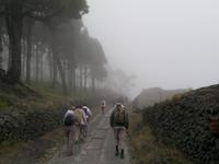 Die zweite Wanderung begann im Nebel.