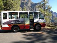 Mit einem Allradbus fuhren wir steil bergauf, um anschließend durch die „Caldera de Taburiente“ zu wandern.