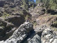 Was ist das? Ein Guanche?