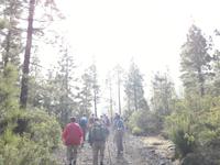 Die erste Wanderung auf Teneriffa begann mit leichtem Nebel, wurde aber schenll besser