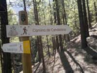 Auch ein Pilgerweg kreute unsere Wanderung