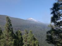 Der Teide schaute auch ab und zu uns beim wandern zu.