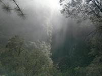 Die Sonnenstrahlen kämpften sich durch den Nebel