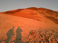 Herrliches Farbenspiel in der Sonne.