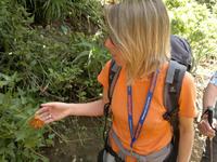 Steffi gefielen die Glockenblumen.
