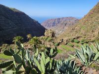 Barranco bei El Cercado/La Gomera/Kanaren