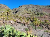 Imada/La Gomera/Kanaren