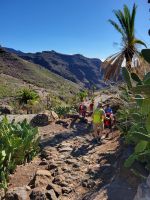 Imada/Blick in den Barranco de Guarimiar/La Gomera/Kanaren