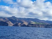 Whale Watching/Blick auf La Gomera/Kanaren