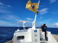 Whale Watching/La Gomera/Kanaren