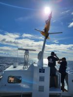 Whale Watching/La Gomera/Kanaren