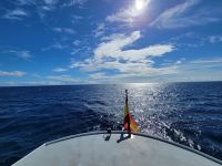 Whale Watching/La Gomera/Kanaren