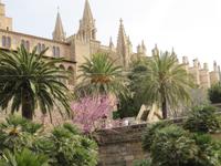 Kathedrale von Palma