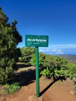 Alto de Garanonay/La Gomera/Kanaren