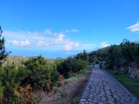 Alto de Garanonay/La Gomera/Kanaren
