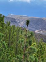 Mirador de Igualero/La Gomera/Kanaren