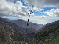 Mirador de Igualero nach Chipude/La Gomera/Kanaren