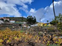 Chipude Weinanbau/La Gomera/Kanaren