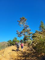 Wanderung von Rosas zum Mirador de Abrante/La Gomera/Kanaren