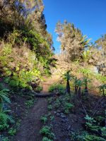Wanderung von Rosas zum Mirador de Abrante/La Gomera/Kanaren