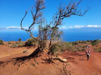 rote Dünenlandschaft bei Mirador de Abrante/La Gomera/Kanaren