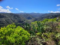 Landschaft bei Juegos de Bolas/La Gomera/Kanaren