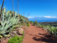 Landschaft bei Juegos de Bolas/La Gomera/Kanaren