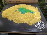 Centro de Visitante de Juego de Bolas/Wald der Wälder/La Gomera/Kanaren