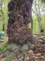 Ermita Nuestra Señora de Lourdes