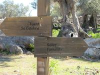 überall hübsche Wegweiser