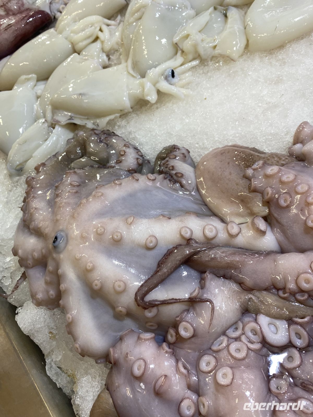 Markthalle in La Laguna