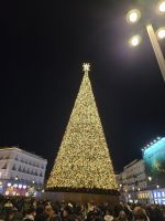 Weihnachtsbaum an der Puerta de Sol Madrid