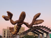 Barcelona. Gambrinus