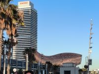 Barcelona. Der Fisch