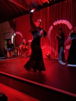 Flamenco Show 