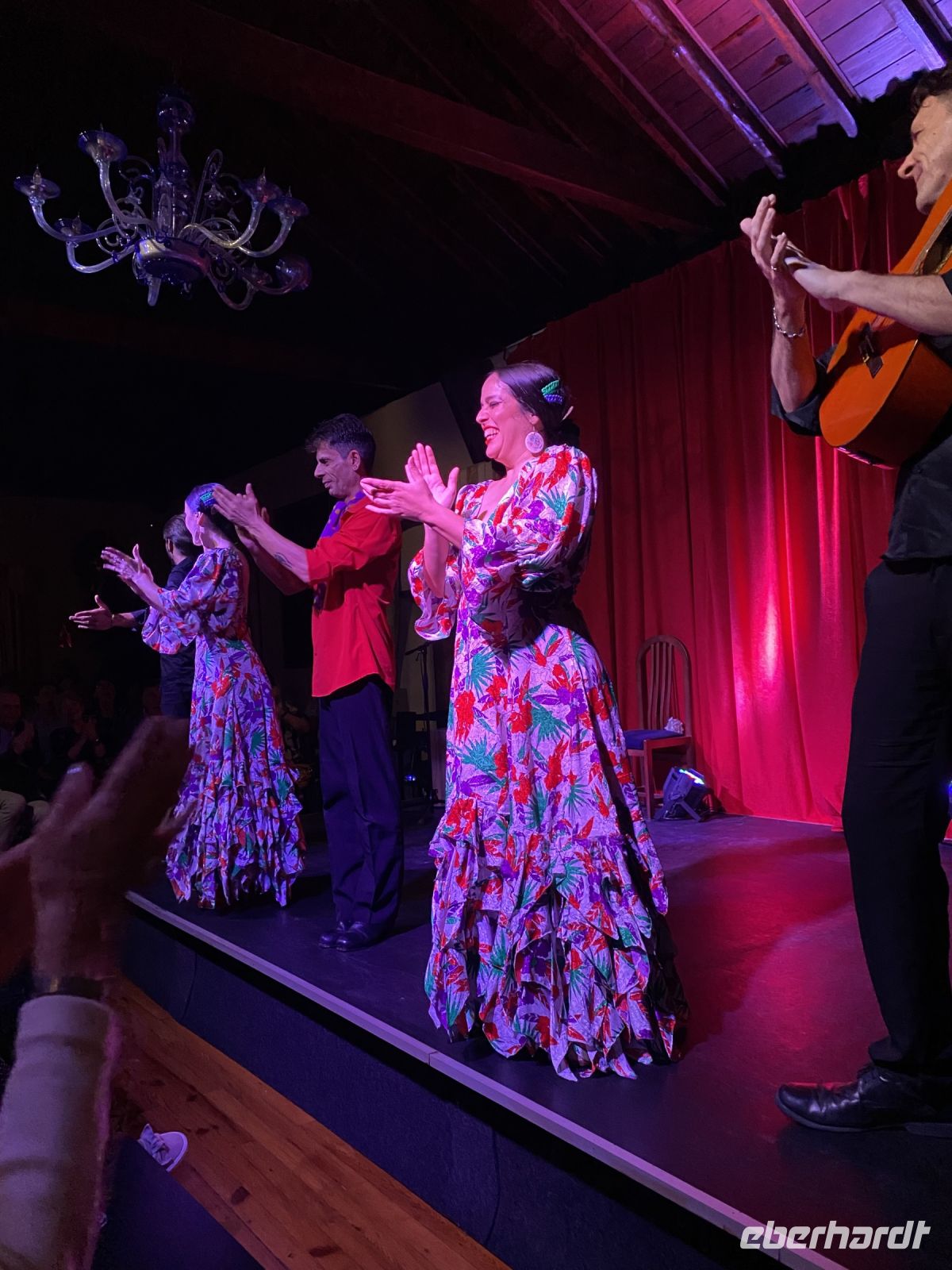 Flamenco Show 
