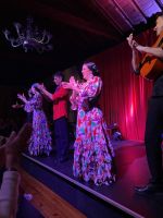 Flamenco Show 