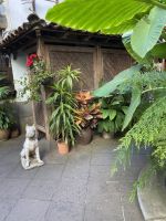 Casa de los Balcones