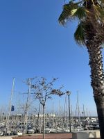 der olympische Yachthafen