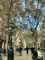 sehen und gesehen werden - im Born 