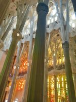 ein Säulenwald empfängt uns 