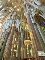 mit Ästen und Baumkrone...