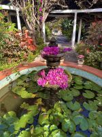 Teneriffa - Puerto de la Cruz Orchideengarten