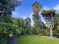 Teneriffa - Puerto de la Cruz Orchideengarten