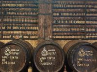 Teneriffa - El Cantillo 