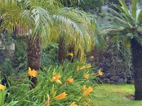 Teneriffa - La Orotava