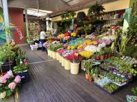 Teneriffa - La Laguna Markthalle 