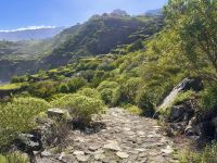 Teneriffa - Los Realejos Küstenwanderung