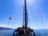 Teneriffa - Küstenschiffsfahrt